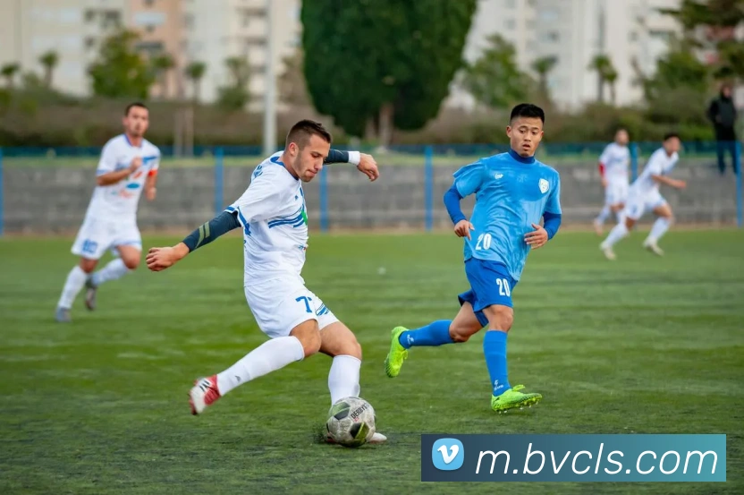 赛事专题整合